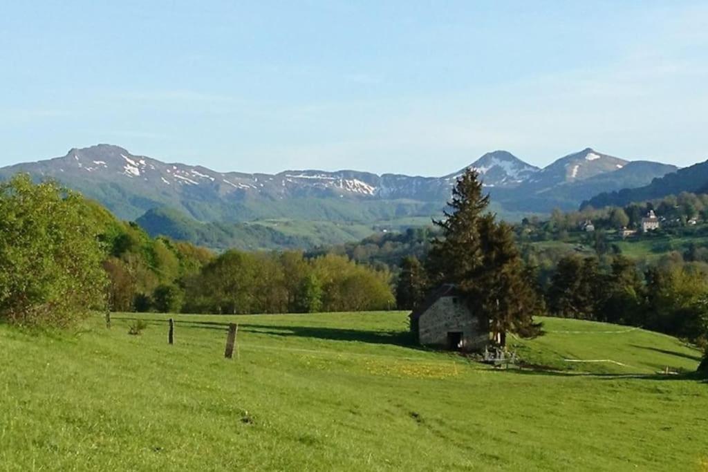 Gite A La Ferme Au Coeur De L'Auvergne Saint-Hippolyte  Esterno foto